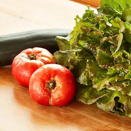 Tatil Evi Casa Guardafuentes De Ordesa Buerba