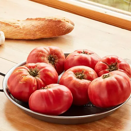 Casa Guardafuentes De Ordesa *