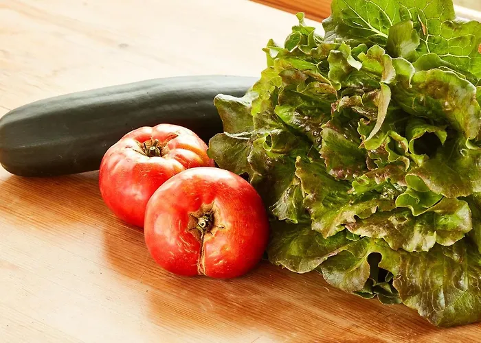 Ferienhaus Casa Guardafuentes De Ordesa Buerba