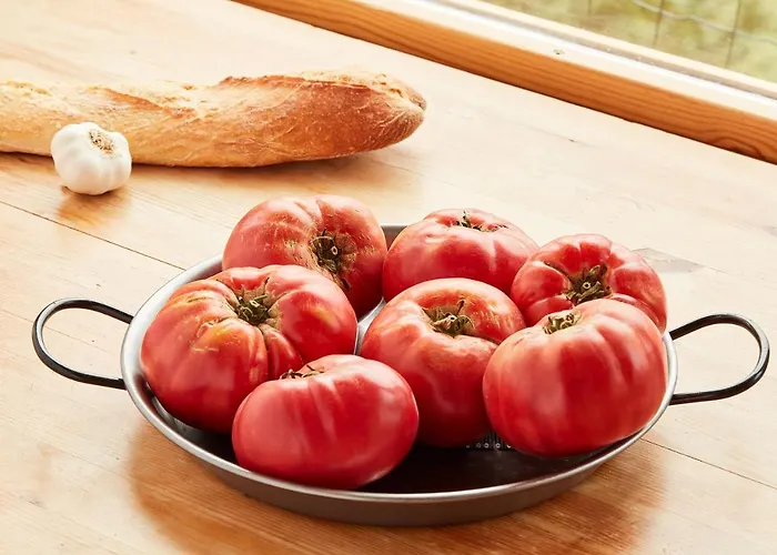 Casa Guardafuentes De Ordesa *